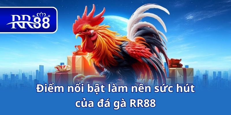 Điểm nổi bật làm nên sức hút của đá gà RR88