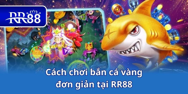 Cách chơi bắn cá vàng đơn giản tại RR88