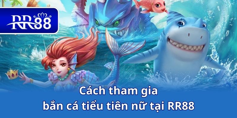 Cách tham gia bắn cá tiểu tiên nữ tại RR88