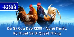 Đá Gà Cựa Dao RR88 – Nghệ Thuật, Kỹ Thuật Và Bí Quyết Thắng