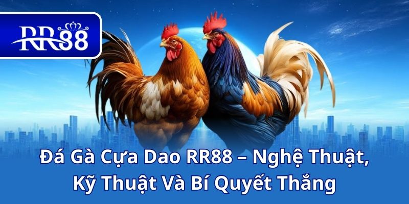Đá Gà Cựa Dao RR88 – Nghệ Thuật, Kỹ Thuật Và Bí Quyết Thắng