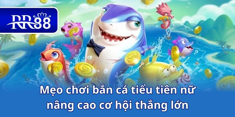 Mẹo chơi bắn cá tiểu tiên nữ nâng cao cơ hội thắng lớn