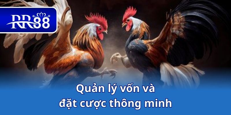 Quản lý vốn và đặt cược thông minh